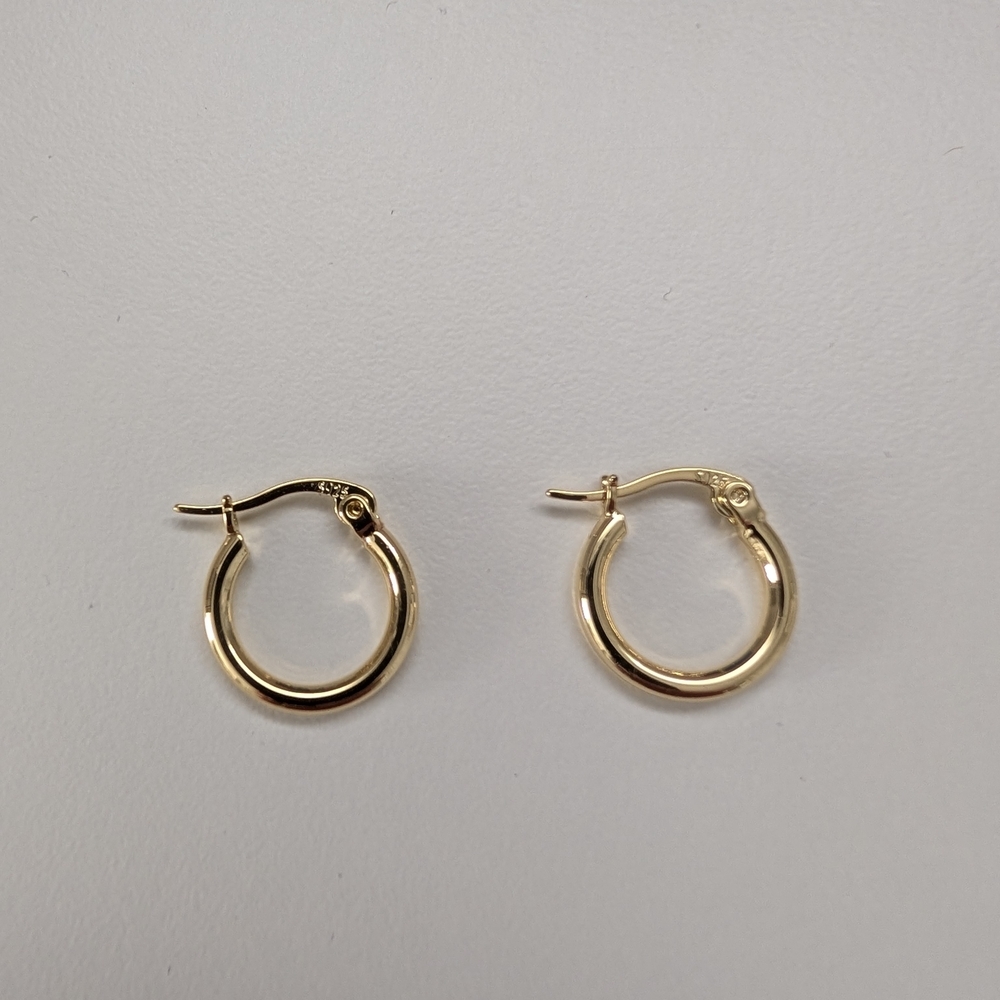 Elegant Gold Hoop Earrings